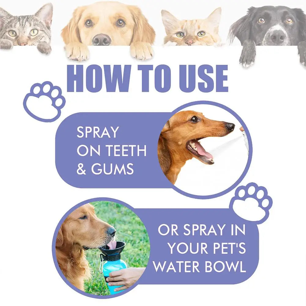 Fresh Pet Dental Spray