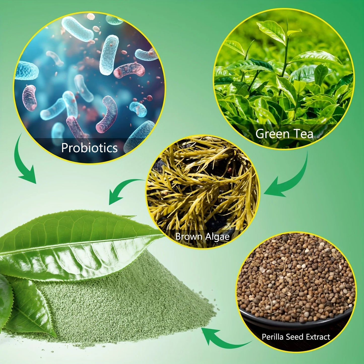 Dental Care Powder