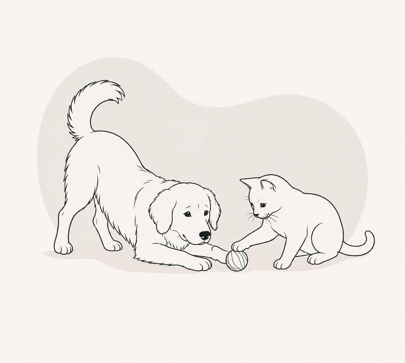 Play & Enrichment