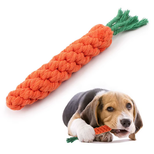 Crunchy Carrot Rope Chew Toy