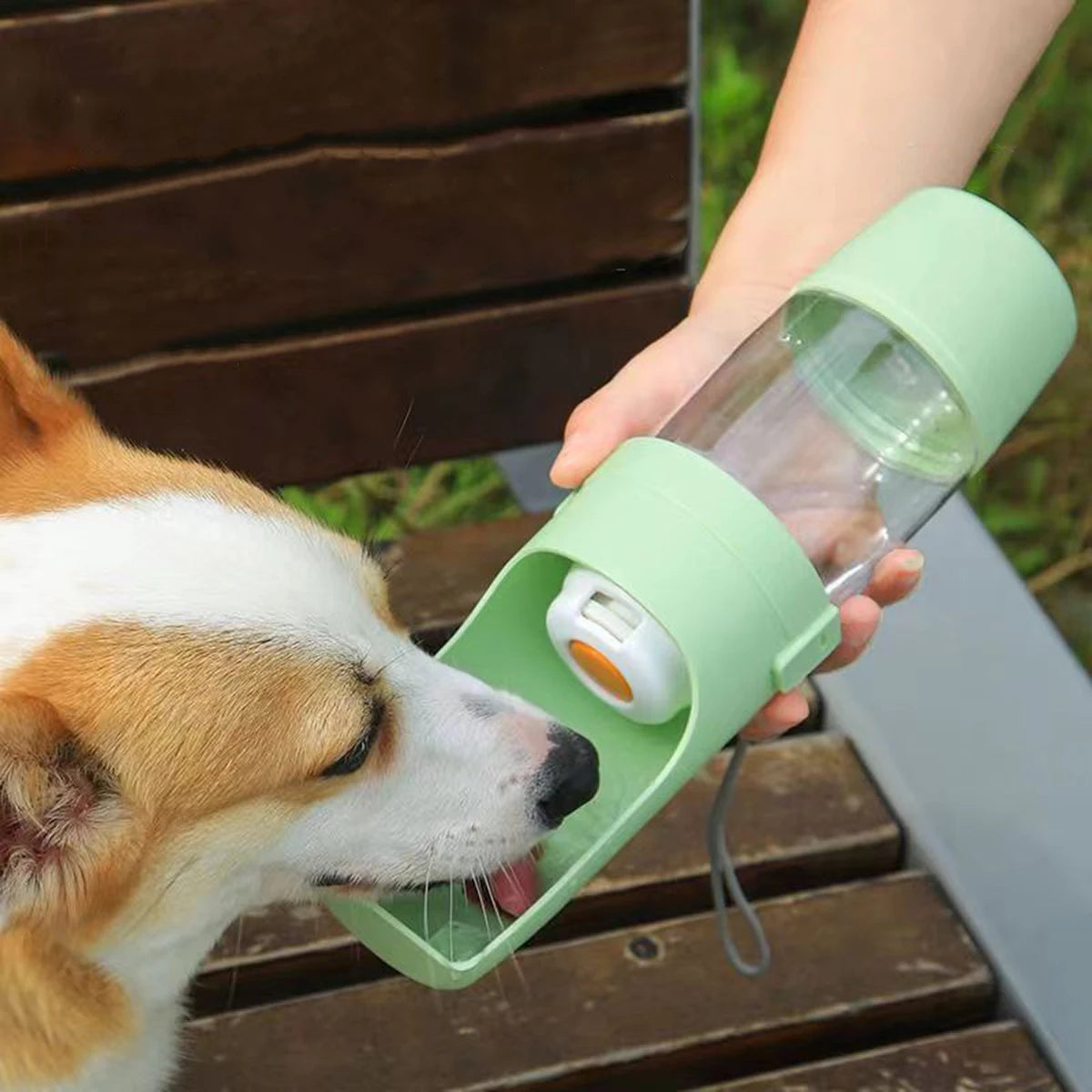 HydraPaw Travel Water Bottle