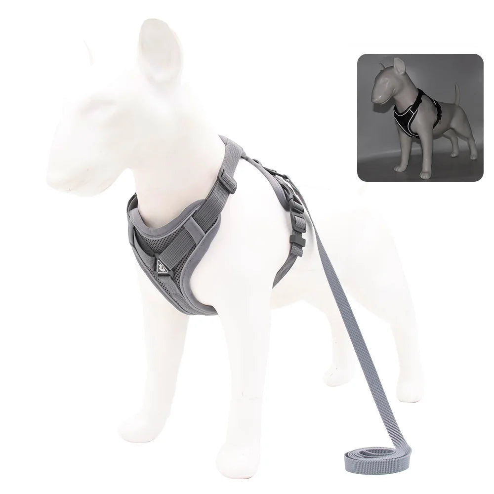 TrailGlow Reflective Harness