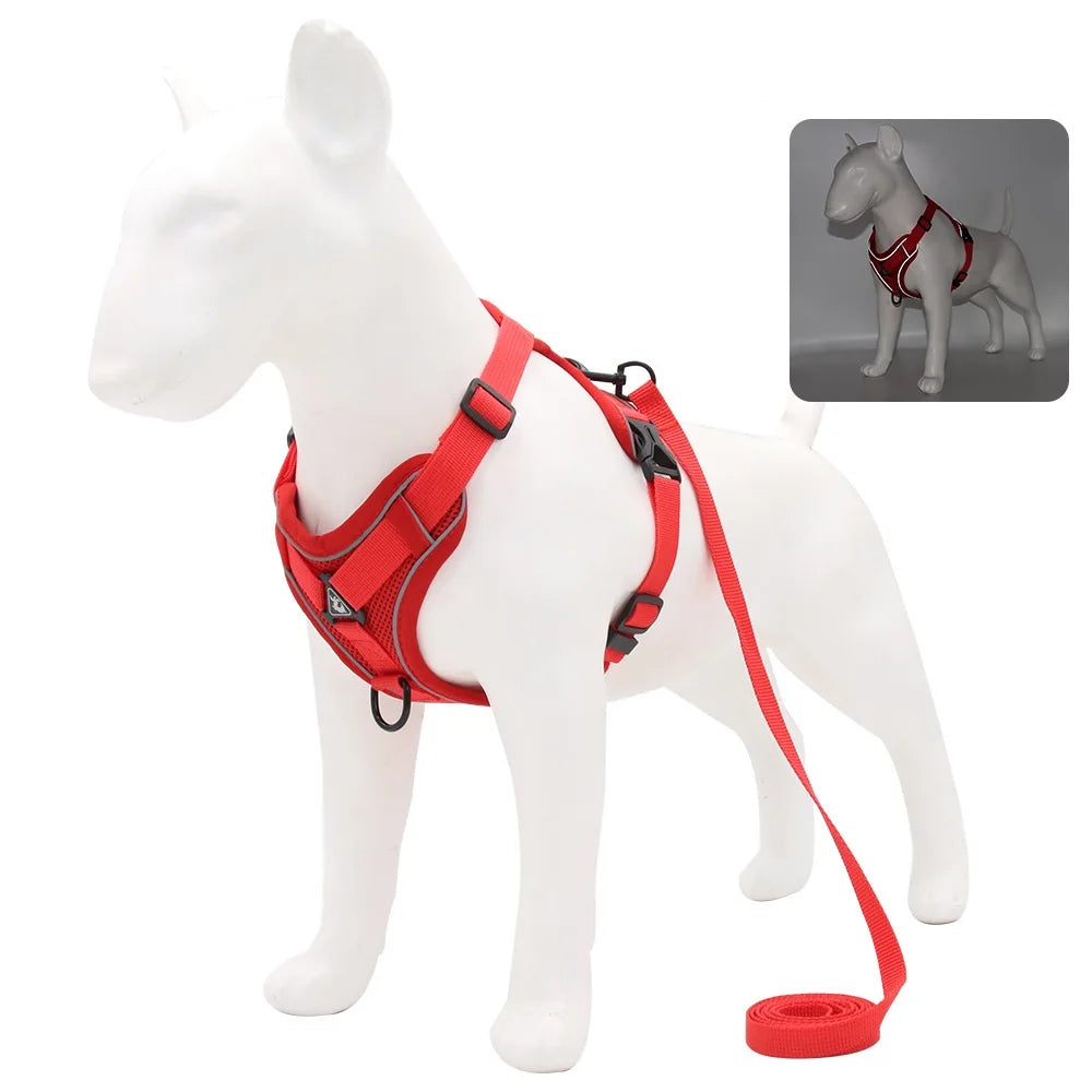 TrailGlow Reflective Harness