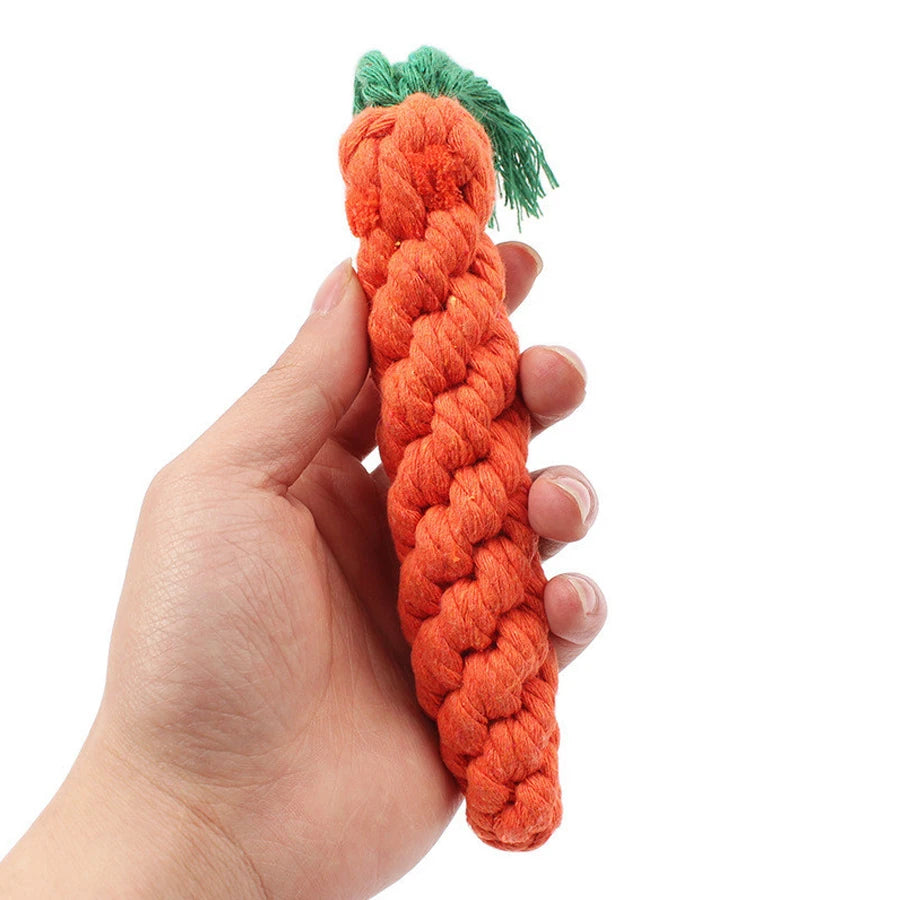 Crunchy Carrot Rope Chew Toy